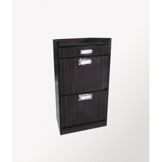 جا کفشی داشبوردی معمولی